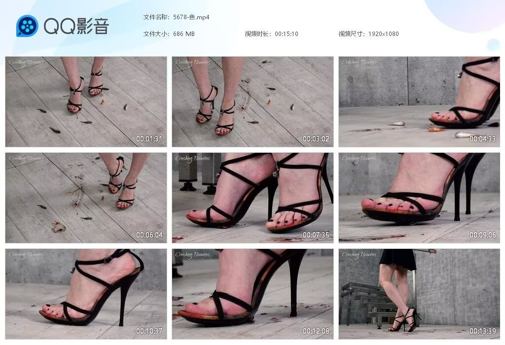 5678-鱼[2025072
